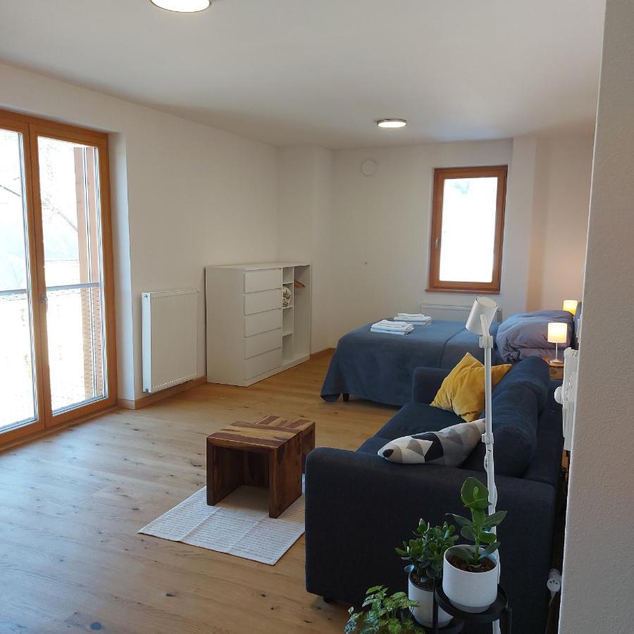 Studio Apartman 22, Rezidence Javor Zelezna Ruda Luaran gambar